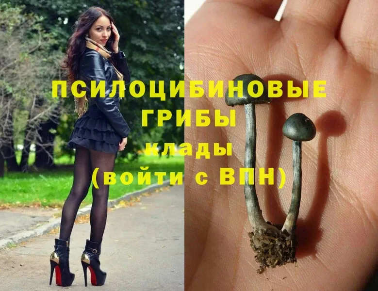 Галлюциногенные грибы Magic Shrooms  Константиновск 